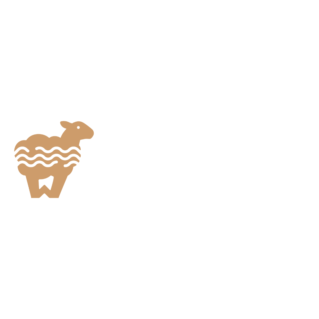 woolando-logo WoolLand